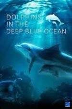 Watch Dolphins in the Deep Blue Ocean Sockshare