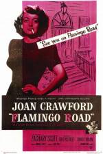 Watch Flamingo Road Sockshare