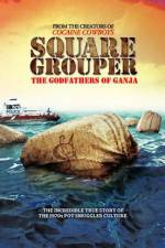 Watch Square Grouper Sockshare