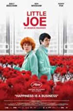 Watch Little Joe Sockshare