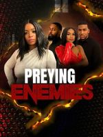 Watch Preying Enemies Sockshare
