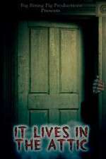 Watch It Lives in the Attic Sockshare