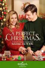 Watch A Perfect Christmas Sockshare