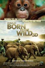 Watch Born to Be Wild Sockshare