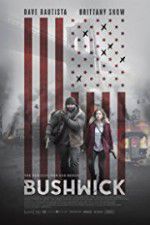 Watch Bushwick Sockshare