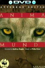 Watch Anima Mundi Sockshare
