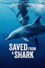 Watch Saved from a Shark Sockshare