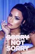 Watch Demi Lovato: Sorry Not Sorry Sockshare