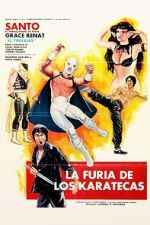 Watch The Fury of the Karate Experts Sockshare