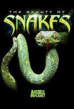 Watch Beauty of Snakes Sockshare