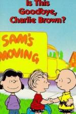 Watch Is This Goodbye Charlie Brown Sockshare