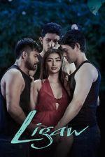 Watch Ligaw Sockshare
