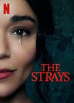 Watch The Strays Sockshare