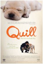 Watch Quill: The Life of a Guide Dog Sockshare