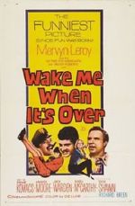 Watch Wake Me When It\'s Over Sockshare