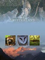 Watch Wilde Schweiz Sockshare