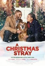 Watch A Christmas Stray Sockshare