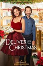 Watch Deliver by Christmas Sockshare