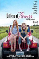 Watch Different Flowers Sockshare