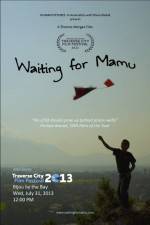 Watch Waiting for Mamu Sockshare