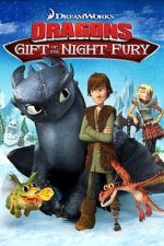 Watch Dragons: Gift of the Night Fury Sockshare