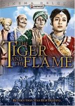 Watch Jhansi Ki Rani Sockshare