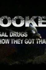 Watch Hooked Illegal Drugs & How They Got That Way - Opium Morphine and Heroin Sockshare