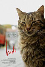 Watch Kedi Sockshare