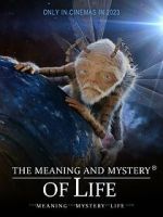 Watch The Meaning and Mystery of Life Sockshare