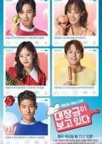 Watch Dae Jang Geum Is Watching Sockshare