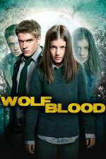 Watch Wolfblood Secrets Sockshare