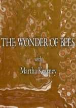 Watch The Wonder of Bees with Martha Kearney Sockshare