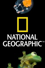 Watch Nat Geo Amazing! Sockshare