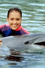 Watch Flipper (The New Adventures of Flipper) Sockshare