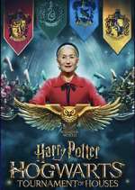 Watch Harry Potter: Hogwarts Tournament of Houses Sockshare