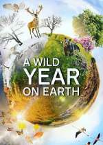 Watch A Wild Year on Earth Sockshare