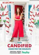 Watch Candified: Home for the Holidays Sockshare
