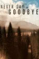 Watch Never Say Goodbye Sockshare