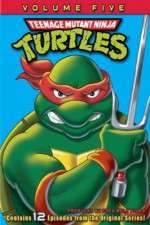 Watch Teenage Mutant Ninja Turtles Sockshare