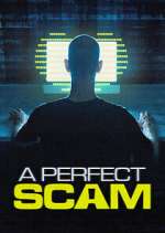 Watch A Perfect Scam Sockshare