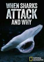 Watch When Sharks Attack... And Why Sockshare