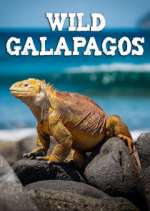 Watch Wild Galapagos Sockshare