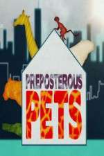 Watch Preposterous Pets Sockshare