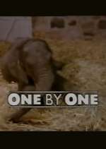 Watch One by One Sockshare