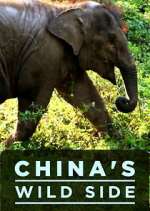 Watch China's Wild Side Sockshare
