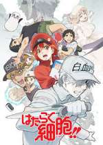 Watch Cells at Work! Sockshare