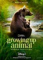 Watch Growing Up Animal Sockshare