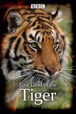 Watch Lost Land of the Tiger Sockshare