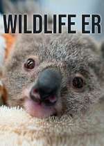 Watch Wildlife ER Sockshare