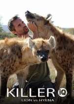 Watch Killer IQ: Lion vs. Hyena Sockshare